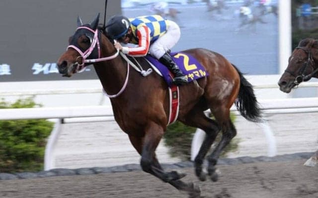 【黒船賞】シャマルが連覇…断然人気サンライズホークはまさかの11着