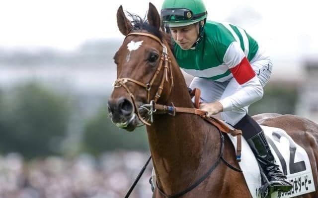 【大阪杯展望】ダービー馬タスティエーラが混戦を断つ