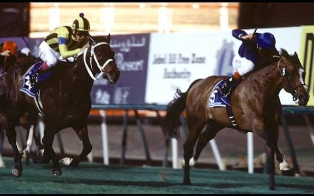 ドバイで勝利した初の日本馬「ステイゴールド」 仔や孫にも受け継がれる世界での強さ