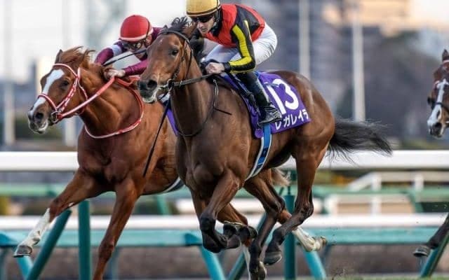 【皐月賞想定】レガレイラ、ジャンタルマンタルなど19頭