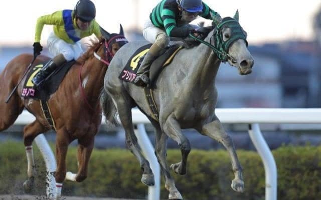 【浦和・桜花賞結果】プリンセスアリーが重賞初制覇 今月末で引退の岡田一男師にビッグタイトル