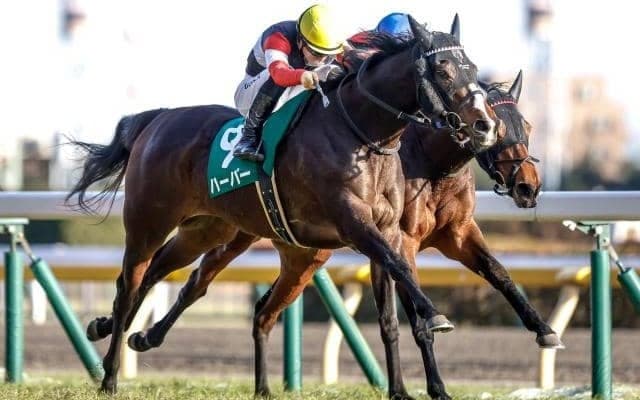 【大阪杯予想】枠順次第で大チャンス!? AIが推す“人気の盲点”となりうる一頭