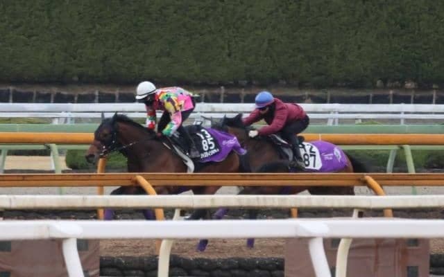 ジャスティンミラノ、皐月賞2週前追い切り速報/栗東トレセンニュース
