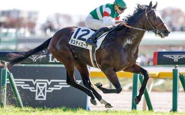 【大阪杯出走馬・騎手確定】タスティエーラ＆松山弘平騎手、ローシャムパーク＆戸崎圭太騎手など16頭