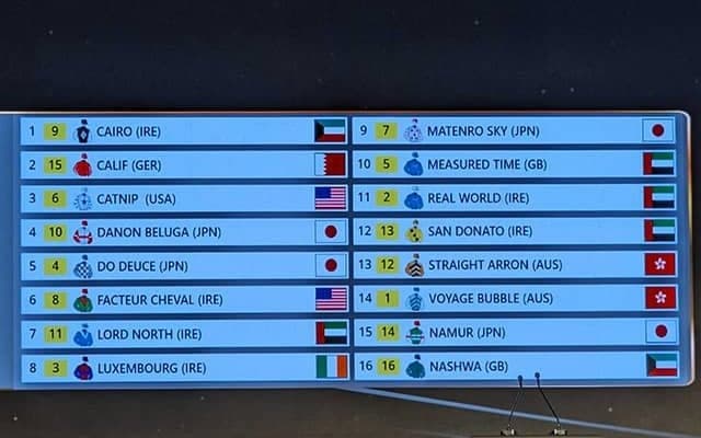 【ドバイターフ枠順】8カ国から強豪集結 ドウデュースは4番ゲート、ダノンベルーガは10番ゲート