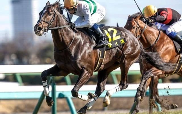 【ダービー卿CT出走馬・騎手確定】ディオ＆北村宏司騎手、パラレルヴィジョン＆戸崎圭太騎手など16頭