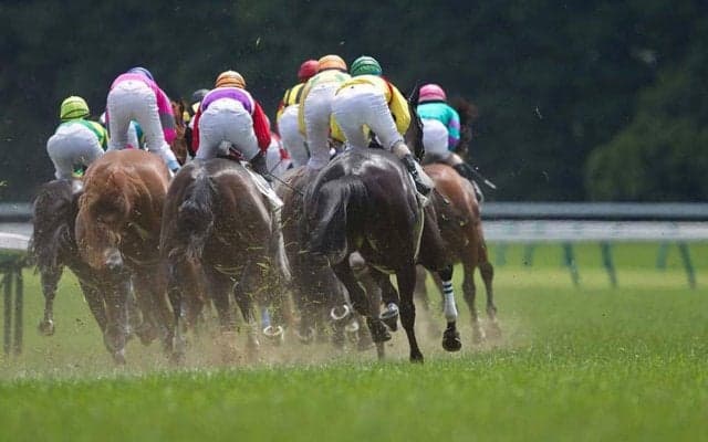 【大阪杯／全頭診断】強い5歳世代一角に「2.3.0.2」　混戦断つ“馬券内率71％”データ