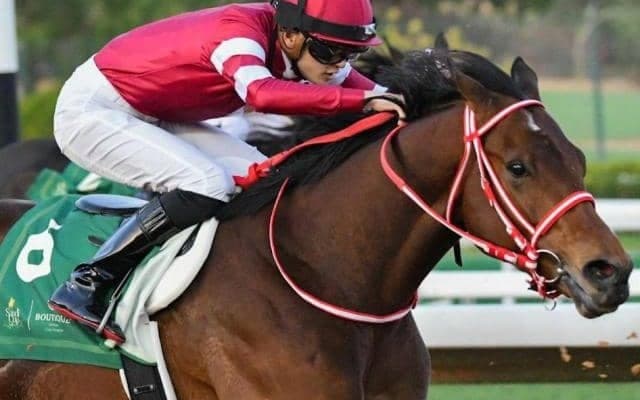 「ウマ娘」藤田晋オーナーのフォーエバーヤング 無傷の5連勝で米3冠へ弾みを