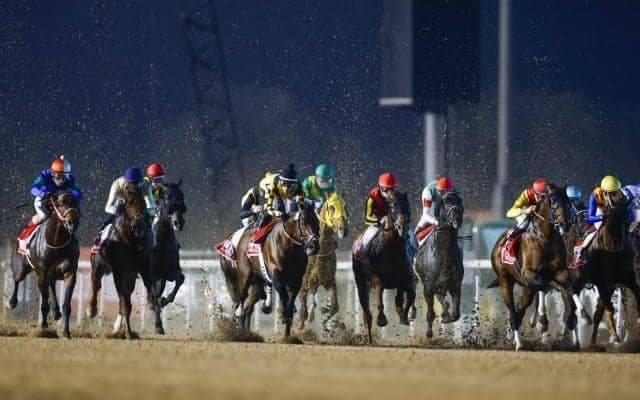 「ドバイ」ってどんなところ？ 現地で馬券発売はなし!? ドバイWCデーをより楽しむ豆知識