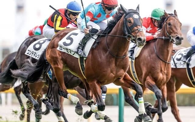 近親にブエナビスタ 名牝系出身のゼーゼマンがデビュー2連勝なるか