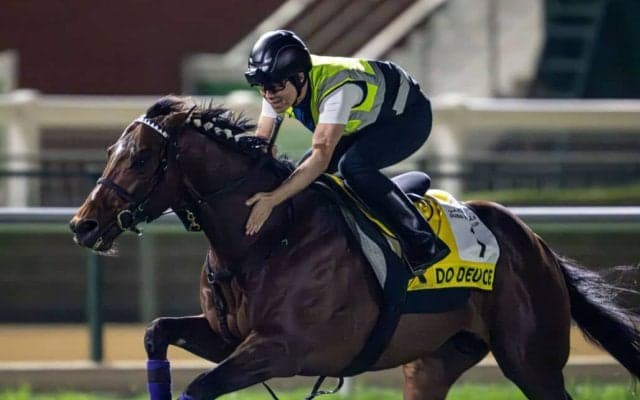 【武豊日記】今週はドバイへ