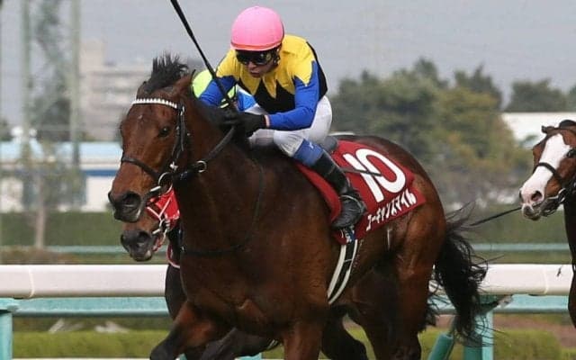 ユーキャンスマイルの競走馬登録抹消…9歳まで長きに渡って活躍