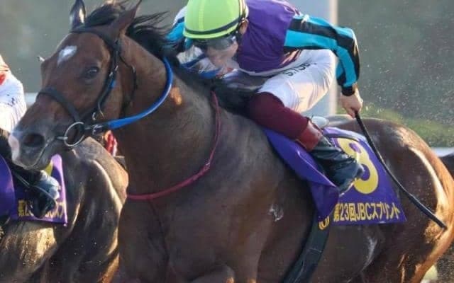 コスモバルク以来の快挙へ ドバイ国際競走に19年ぶり地方馬