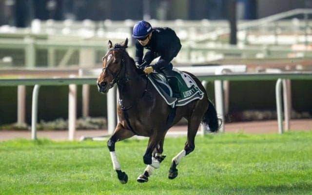 【ドバイシーマクラシック】リバティアイランドは9番ゲートから