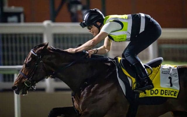 【ドバイターフ】武豊ドウデュースは4番ゲート