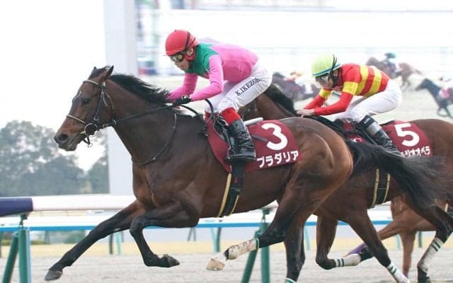 大阪杯に強い「母の父クロフネ」の血　本格化した５歳牡馬とGⅠ牝馬が「祖父の誕生日」を勝利で祝うか