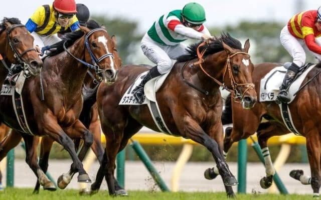 【大阪杯枠順確定】タスティエーラは2枠3番、ローシャムパークは1枠2番