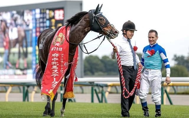 名牝ヴィルシーナの仔ディヴィーナが競走馬登録抹消 今後はノーザンファームで繁殖入り