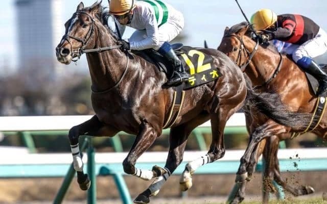 【ダービー卿CT枠順確定】ディオは4枠7番、パラレルヴィジョンは1枠2番