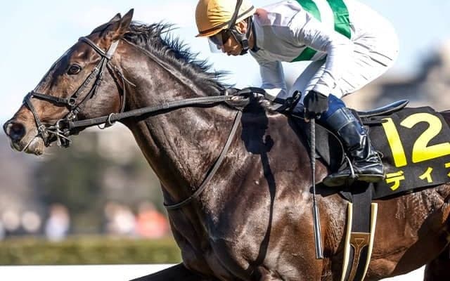 兄は現役トップマイラー ディオがダービー卿CTで兄弟重賞V狙う