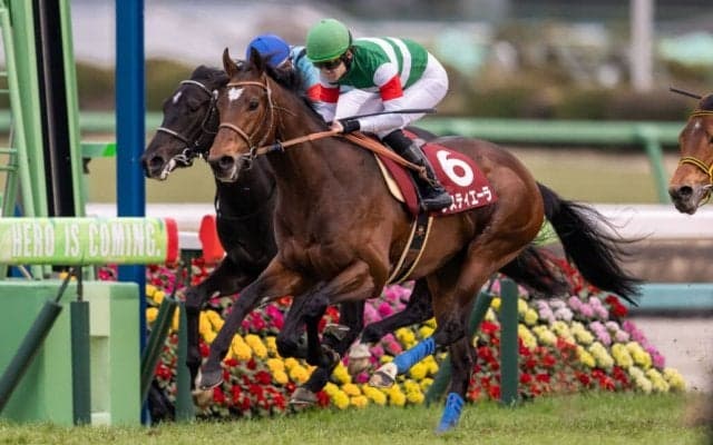 【大阪杯】ダービー馬・タスティエーラは2枠3番