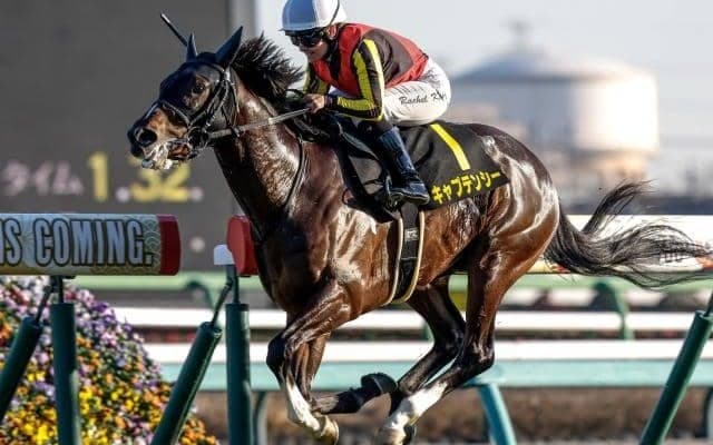 【ニュージーランドT想定馬・騎手】キャプテンシー、エコロブルームなど17頭