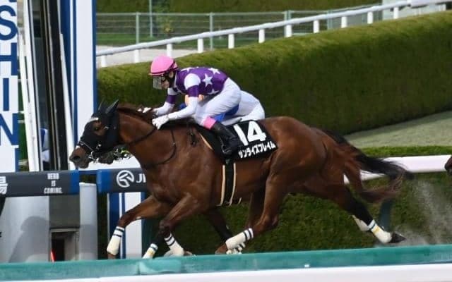 【ポラリスS結果】断然人気のサンライズフレイムが突き抜けV