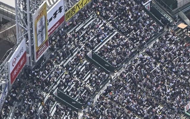 好天のセンバツ準決勝　甲子園球場にぎわう　観衆は3万3900人