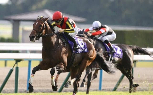 【ドバイシーマC／3連単24点】2017年以降1人気の勝利「1回のみ」で“過信禁物”　堅実2頭軸マルチで攻略