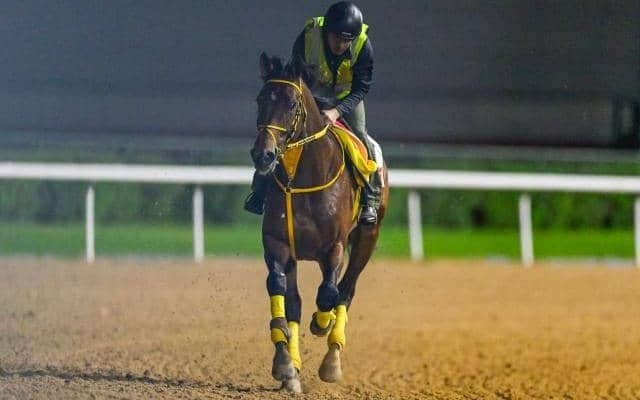 【ドバイWCオッズ比較】JRAオッズ・ブックメーカーともに日本馬が人気集める 