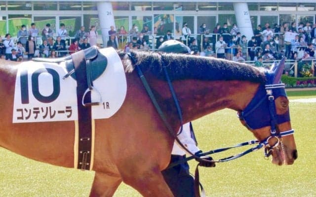 【中山1R】津村「良いレースでした」コンテソレーラが初勝利