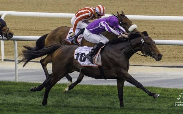 【ドバイゴールドカップ】日本勢は着外…ムーア騎乗、タワーオブロンドンがV