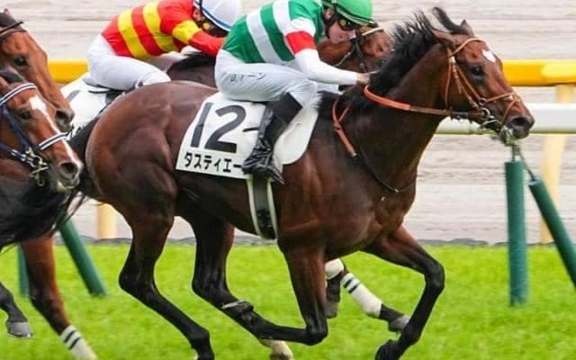 霜降り明星・粗品は昨年のダービー馬に◎ 大阪杯で3連単32点勝負