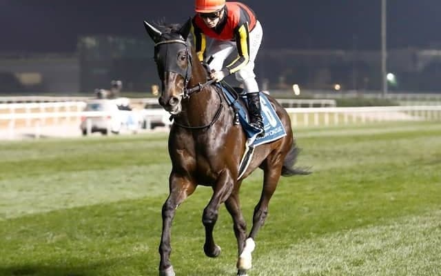 【ドバイシーマクラシック結果】地元のレベルスロマンスV シャフリヤール2着、リバティアイランド3着