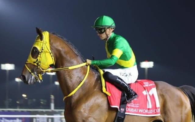 ドバイWCで2着好走のウシュバテソーロ 総獲得賞金で歴代1位浮上