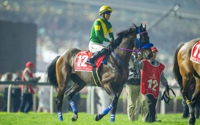 【ドバイワールドカップ】原優介「馬は頑張ってくれました」ウィルソンテソーロは健闘の4着