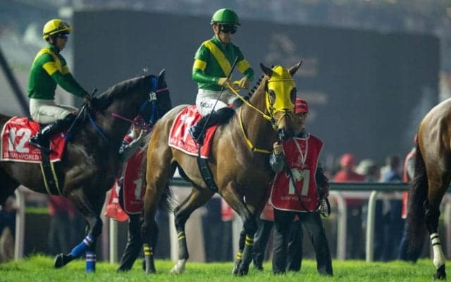 【ドバイワールドカップ】高木師「1頭強い馬がいた」連覇ならず2着