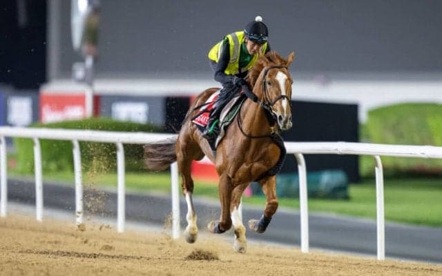 【ドバイワールドカップ】音無師「ゲートで後手を踏んだ時点で…」デルマソトガケは6着敗退