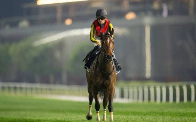 【ドバイシーマクラシック】中内田師「申し訳ない気持ちです」リバティアイランドは3着敗退