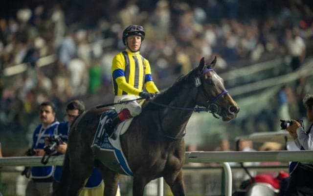 【ドバイシーマクラシック】代打騎乗デットーリ「右に行きたがっていた」スターズオンアースはまさかの8着