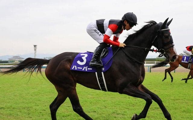 大阪杯は好配当をゲットする絶好の機会　人気先行の４歳牡馬より、ＧＩ未勝利の実力馬を狙え
