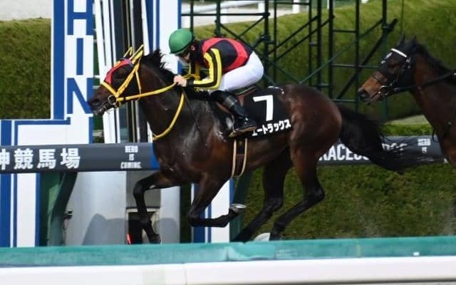 【バイオレットS結果】エートラックスが抜け出し2連勝