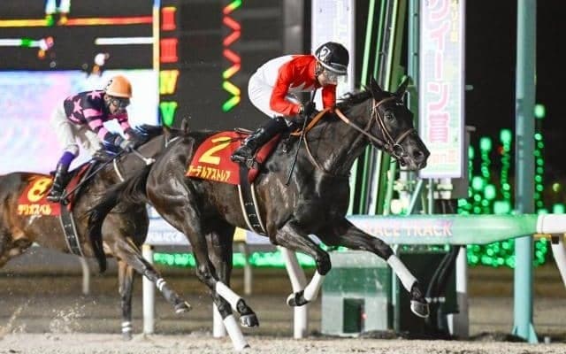 【園田・兵庫女王盃枠順】TCK女王盃が移設＆リニューアル 重賞連勝狙うアーテルアストレアは5枠5番