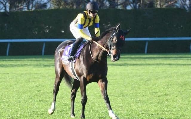 【皐月賞】ジャンタルマンタル、レガレイラらが登録