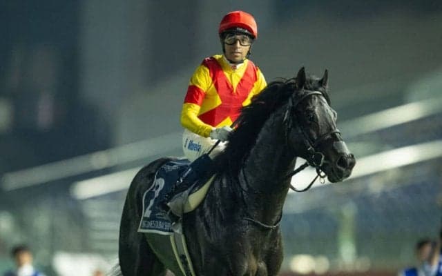 【ドバイシーマクラシック】モレイラ「バテずに良い脚を使ってくれた」ジャスティンパレスは4着