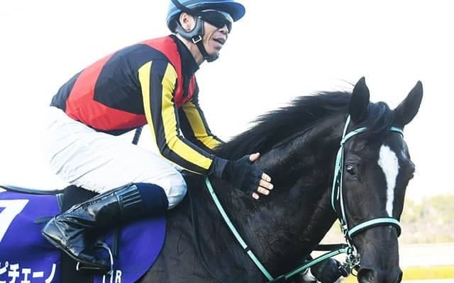 牝馬クラシック第一弾・桜花賞など3重賞/今週の競馬界の見どころ