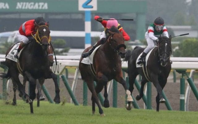 【中山4R・障害未勝利】ランドオブリバティ逸走再び…競走中止