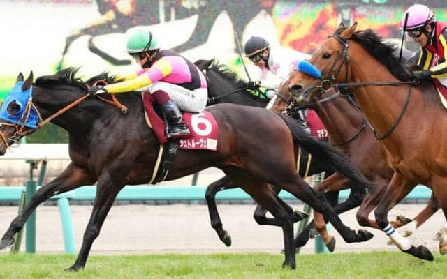 【日経賞】大混戦のゴール前！シュトルーヴェが馬群を割って差し切る