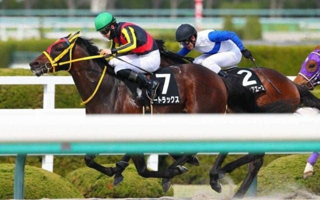 【バイオレットS】エートラックスがオープン初勝利