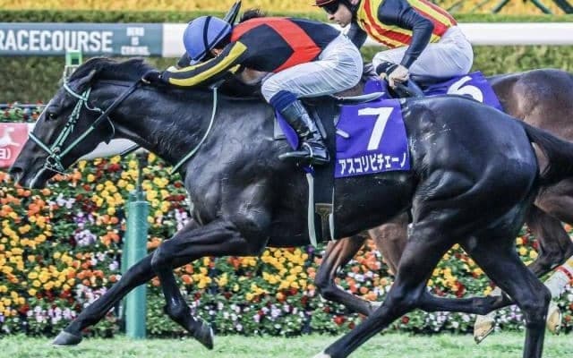 2歳女王のアスコリピチェーノ 史上9頭目の無敗で桜花賞Vなるか